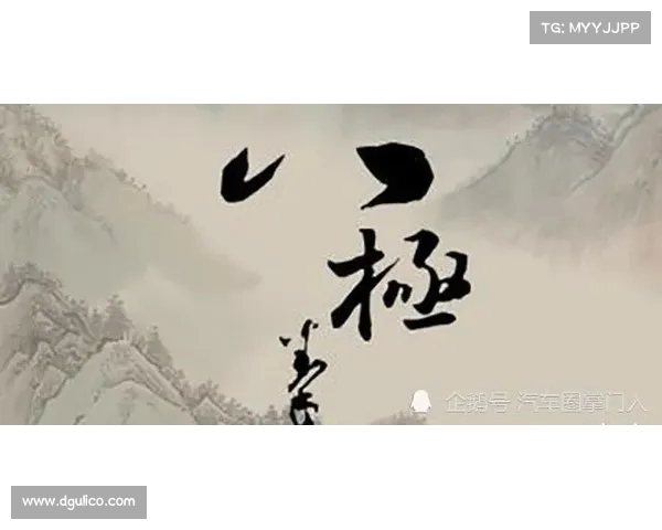 探寻中国传统武术的精髓与文化传承：从拳法招式到精神内涵的深度解读