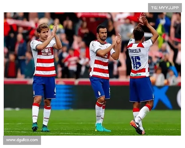 网球赛果详解：胜负悬念揭晓，精彩对决全记录